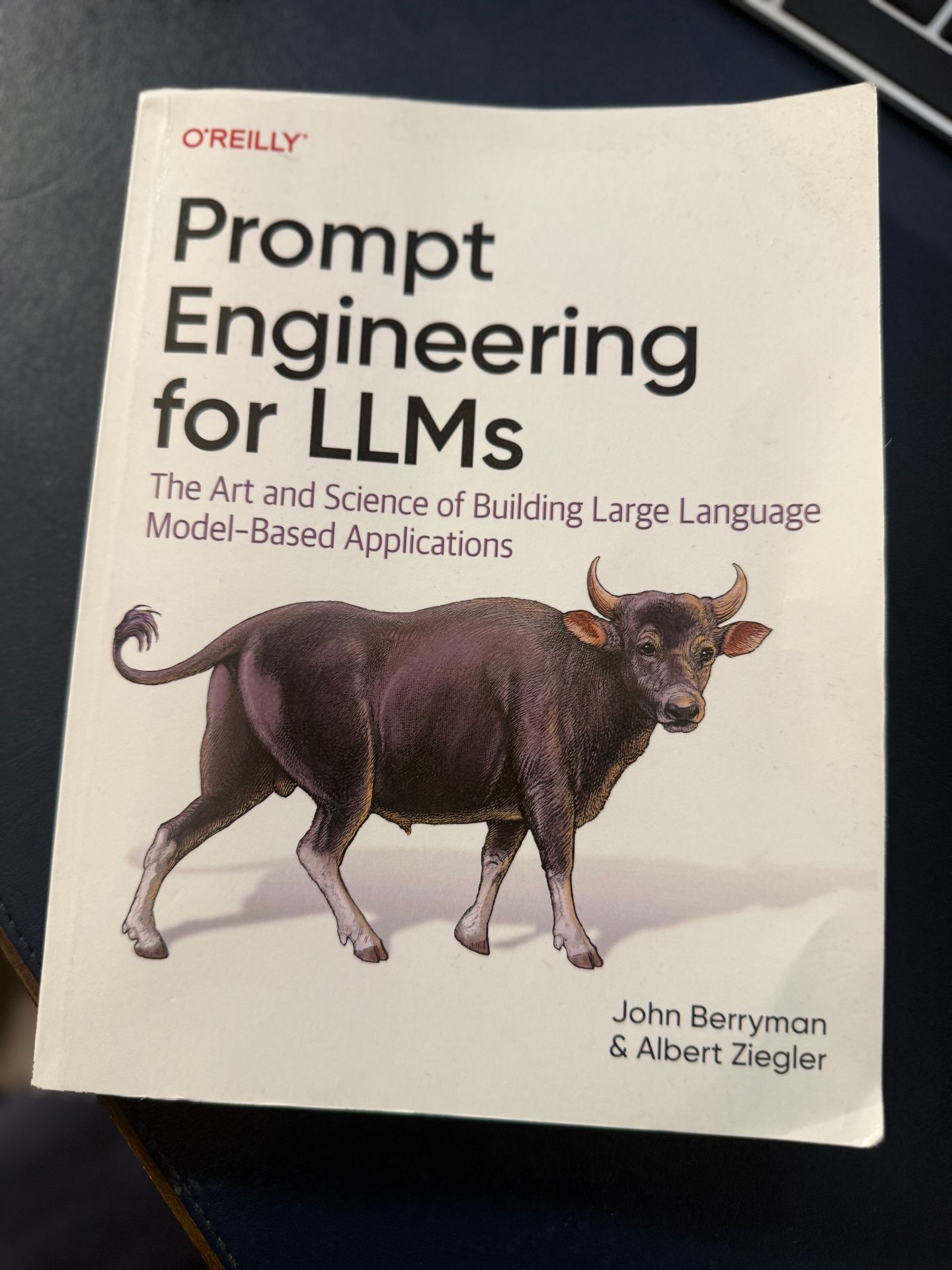Prompt Engineering for Llms: The Art and Science of Building Large Language Model-Based Applications